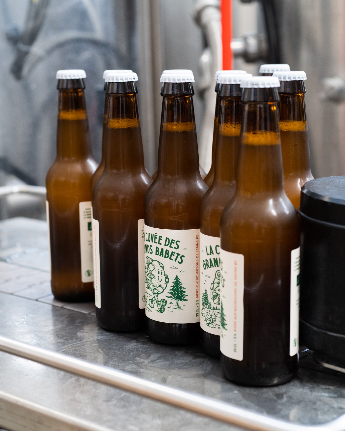 Bière aux bourgeons de Sapin