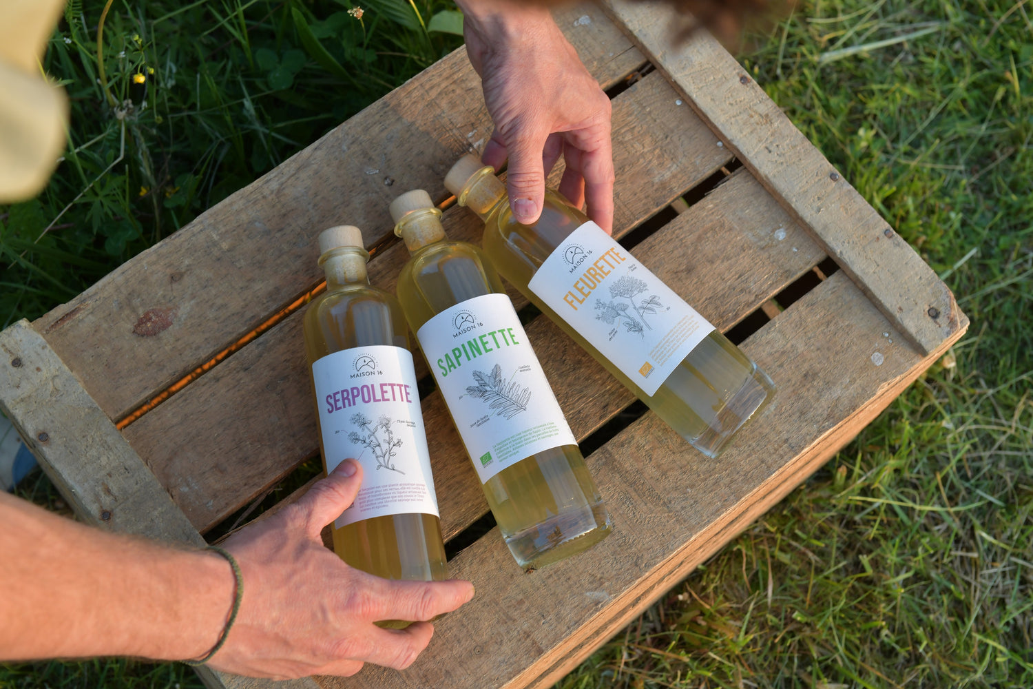 trio liqueurs sapinette serpolette fleurette