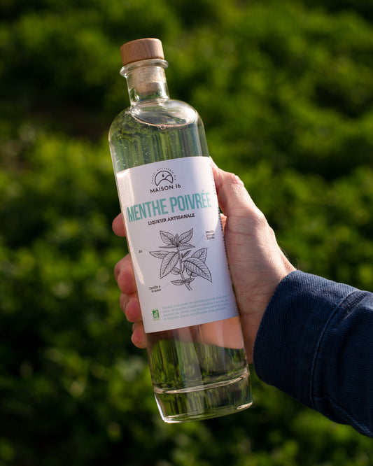 NOUVEAU - Menthe Poivrée bio