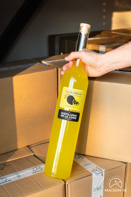 Magnum DISTILLERIE DE LA LOIRE - Au choix