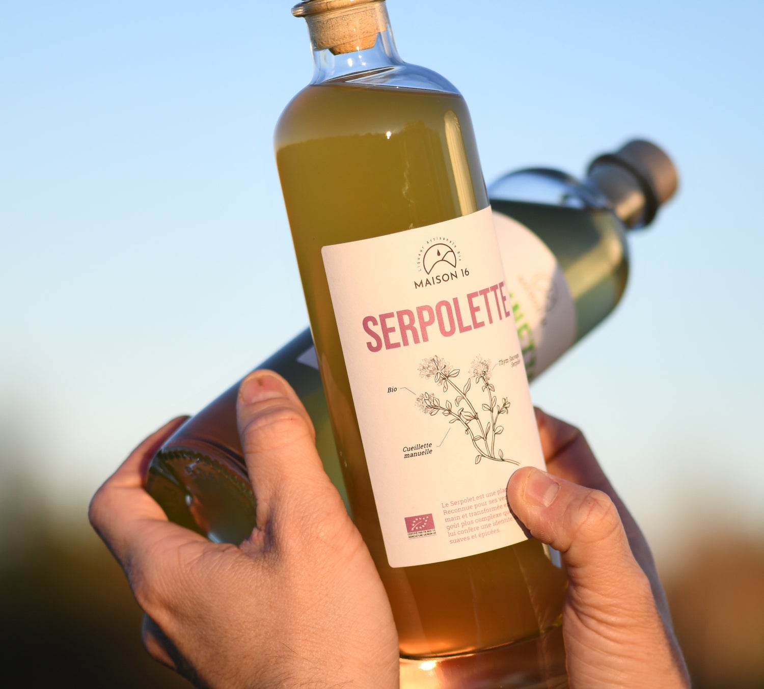 Liqueur d'Alsace Sapin 25° Giftbox - VERSUS Vins & Spiritueux